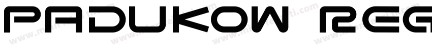 Padukow Regular字体转换